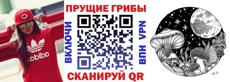 Галлюциногенные грибы прущие грибы продажа наркотиков Олонец